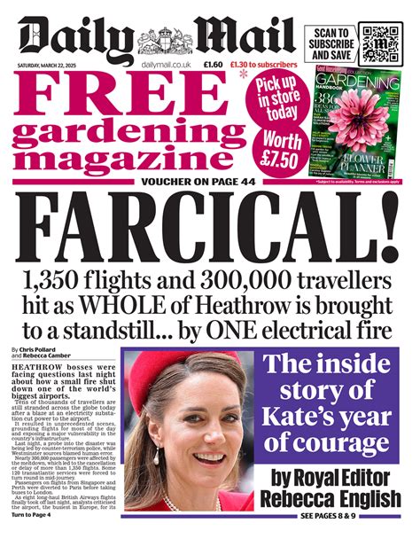 Daily Mail Paper 的图像结果