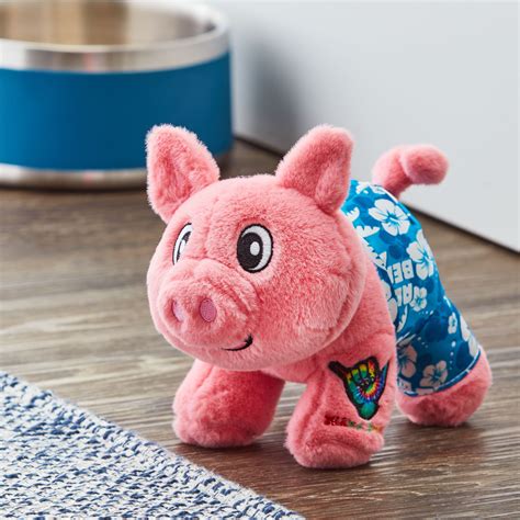 Buy Vibrant Life Cozy Buddy Chew Dog Toy, 8 Hula Pig, Medium Chew Level ...