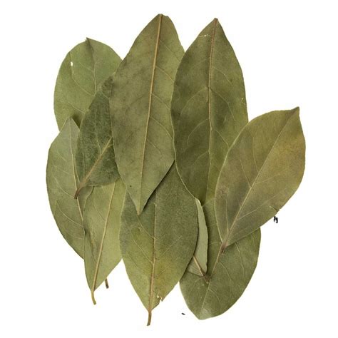 Dried Bay Leaves per 20g – Alive Wholefoods Store