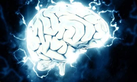 MRI-Based Brain Connectivity Networks Predict Atrophy Progression in ...