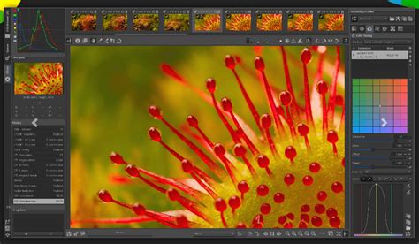 Image result for Graphic Design Program Downloads