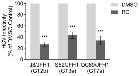 Methanolic Extract of Rhizoma Coptidis Inhibits the Early Viral Entry ...