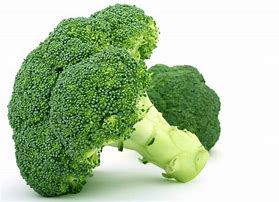 broccoli 的图像结果