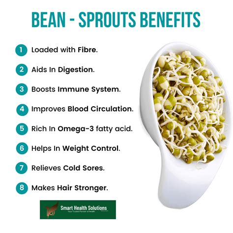 Nutrition | Sprouts benefits, Food health benefits, Bean sprouts benefits