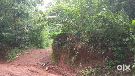 Two Plots 11.3 each /KANHIRODE-KOODALI - Lands & Plots - 1815511240