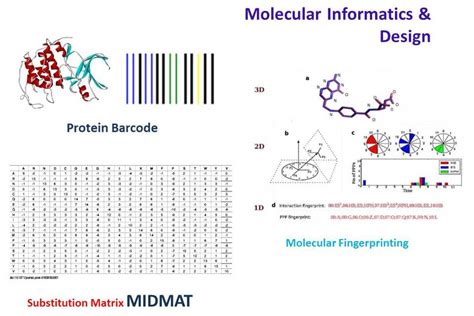 Dr. Vibin Ramakrishnan PhD FRSC FICS FRSB : Biosciences & Bioengineering