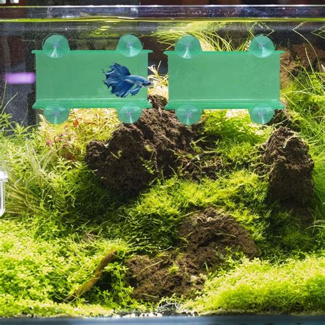 Amazon.com : QICIKRASE 2 PCS Betta Tunnels, Beta Fish Toys and Beds ...