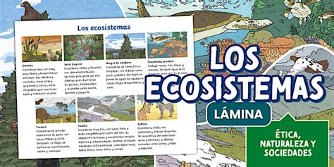Lámina educativa: Los ecosistemas