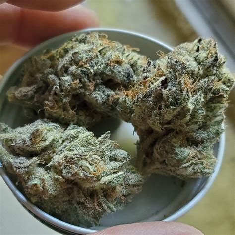 Just a shout out to all my Veteran family and the MA and US veteran Im just taking a moment to ...