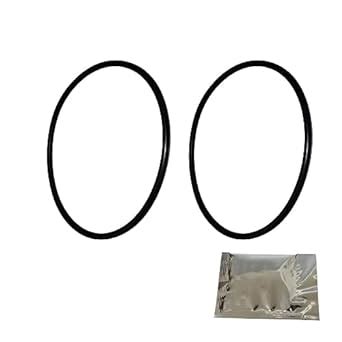 2 PCS 151122 O-Ring Compatible with Pentek Pentair Water Big Blue ...