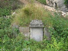 Image result for 坟 The Grave'