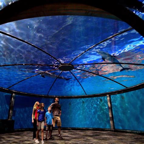 Indianapolis Zoo Map 2013