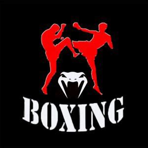 VIP Boxing Logo 的图像结果