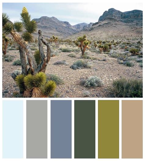 Bringing The Desert Vibes Inside: A Guide To Desert Paint Colors ...
