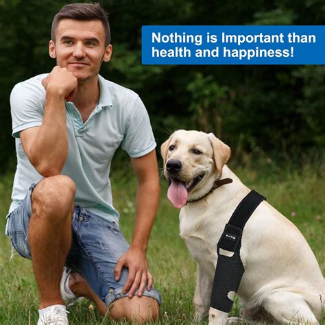 Buy HUAME Dog Knee Brace, Dog Leg Braces for Back Leg for ACL, Knee Cap ...