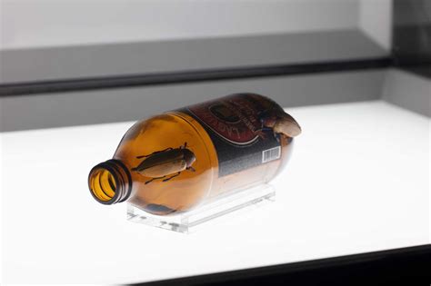 BioMess 的图像结果