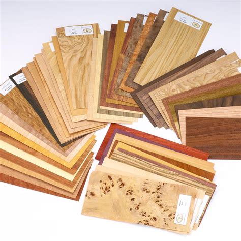 Buy Wood Identification Kit, 50-Piece Online at Low Prices in India ...