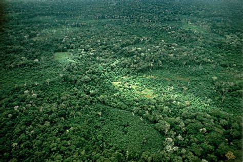 世界上最美的十大热带雨林 西双版纳雨林上榜，第一是“地球之肺”_排行榜123网