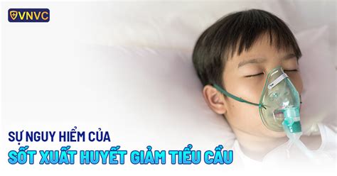 AMBIL SEKARANG