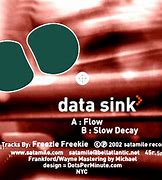 data sink 的图像结果