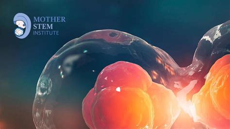 What’s baking Delhi? Plum cakes are passé as Christmas treats get ...