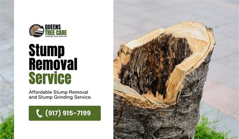 Queens Tree Care | Stump Removal Service in Queens, NY
