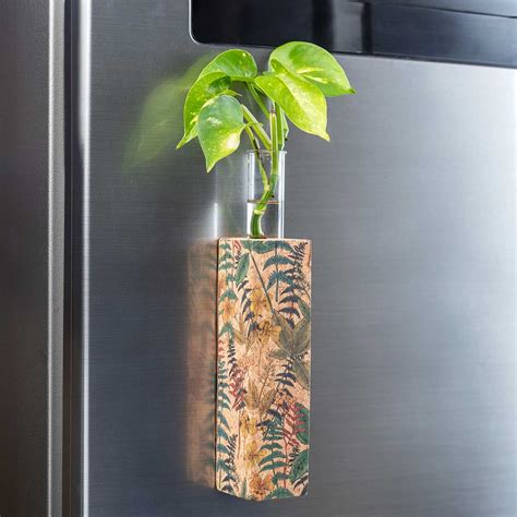 Buy Handmade Forest' Magnetic Test Tube Cork Planter Online On Zwende