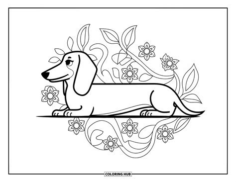 70+ Wiener Dog Coloring Pages for Kids & Adults (Free Printable PDFs)