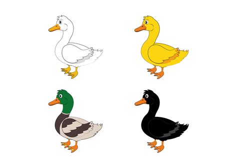 What Are The Colors Of Ducks at Nancy Spradlin blog