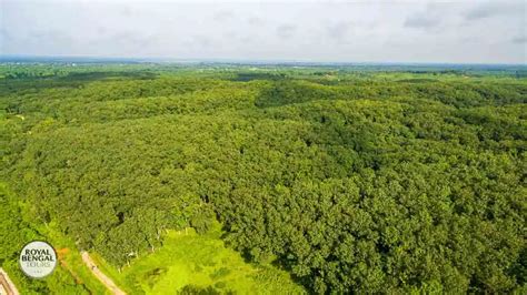 Lawachara National Park 1