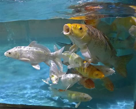 THE 30 BEST Places to Visit in Cox's Bazar (2025)