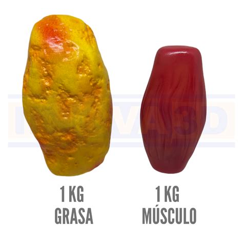 Archivo STL Musculo y grasa - fat and muscle 1 kg・Plan imprimible en 3D para descargar・Cults