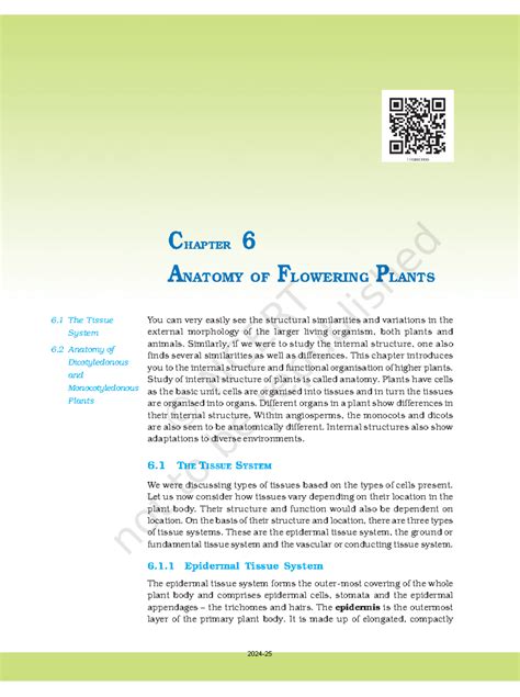 Kebo106 - Snans - ANATOMY OF FLOWERING PLANTS 71 You can very easily ...