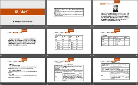 说“木叶”ppt127（微课） 人教课标版