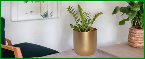 ecofynd 4.3 inches Round Metal Planter for Home Decor, Pack of 1 (Gold ...