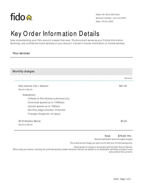 Critical Information Summary Example 的图像结果