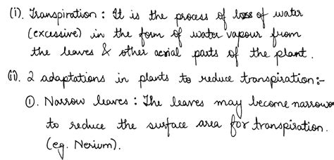 (i) Define the term Transpiration. (ii) State any two adaptations in ...