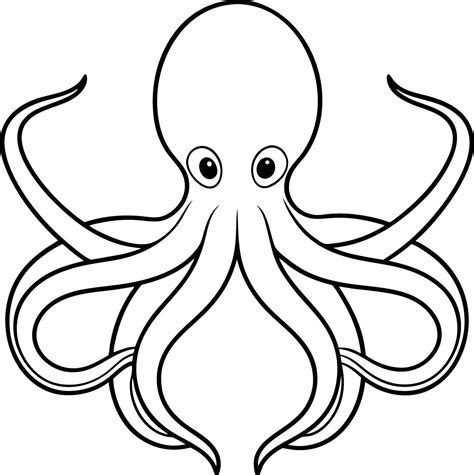 Outline Of Octopus