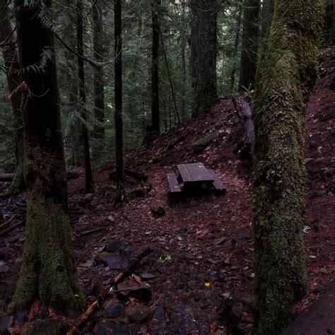 20 Best Oregon Waterfall Hikes - Hike Oregon