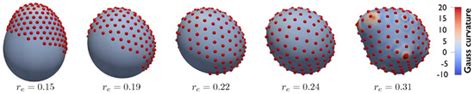 Membranes | Special Issue : Advances in Model Membrane Systems