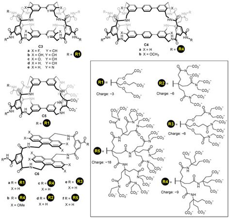 Water-Soluble Molecular Cages for Biological Applications