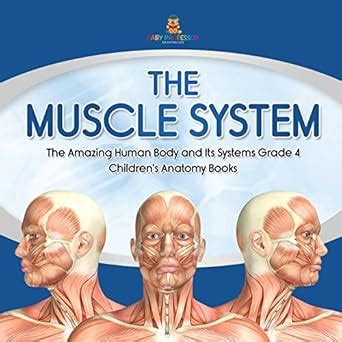 Buy The Muscle System The Amazing Human Body and Its Systems Grade 4 ...