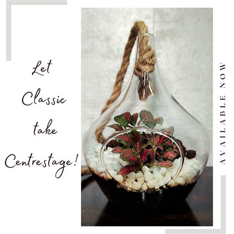 Terrariums | www.farmstudio.co.in