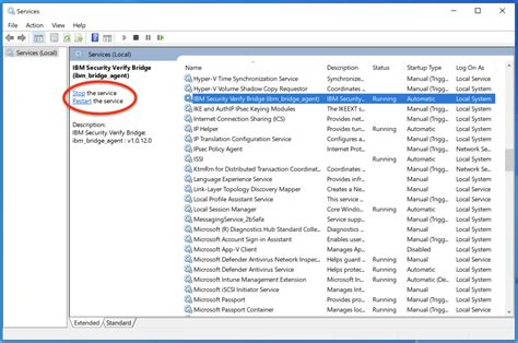 Agent Web Client 的图像结果