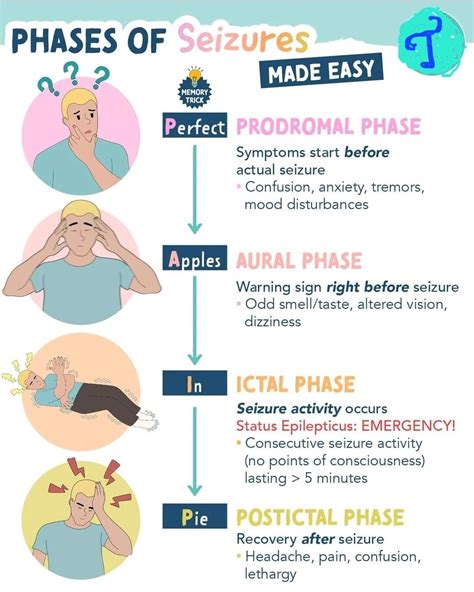 Dr. Tarun Shukla on LinkedIn: Four Phases of Seizures