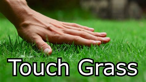 Touching Grass Tutorial 的图像结果