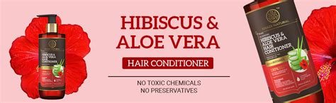 Buy Khadi Natural Powered Botanics Hibiscus and Aloe Vera Hair ...