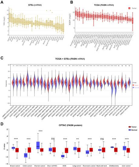 Comprehensive Analysis of FASN in Tumor Immune Infiltration and ...