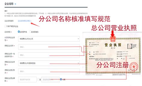 白云区无地址注册分公司营业执照材料、流程及代办费用?_工商财税知识网