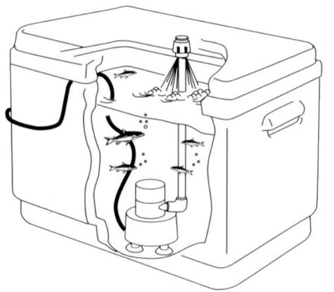 Bomba Viveros Pequeños –TMC 250GPH—950.lts/h. 12v • Naval Chicolino